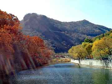 新澳天天开奖资料大全旅游团，青鸟泛目录